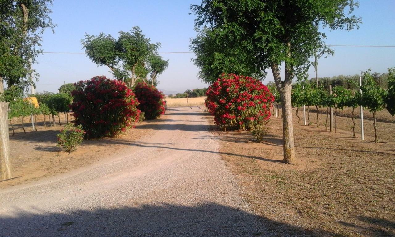 Villa Monolocale Con Giardino Castiglione della Pescaia Exterior foto