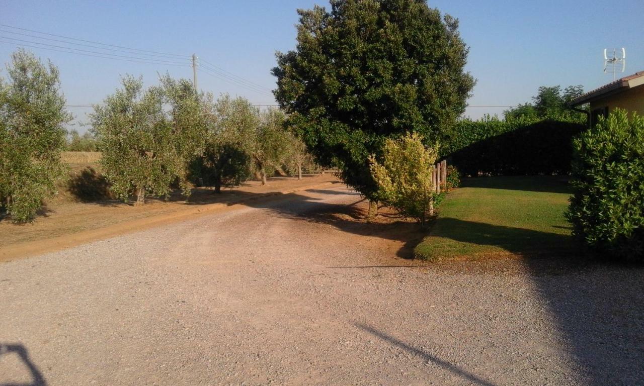 Villa Monolocale Con Giardino Castiglione della Pescaia Exterior foto